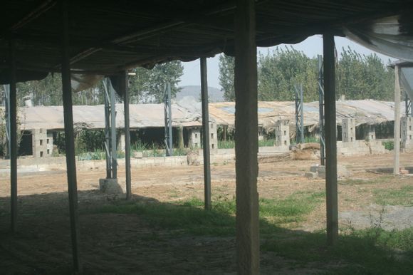 0fc55bafa40f4bfb3a360fa1034f78f0f53618ac.jpg