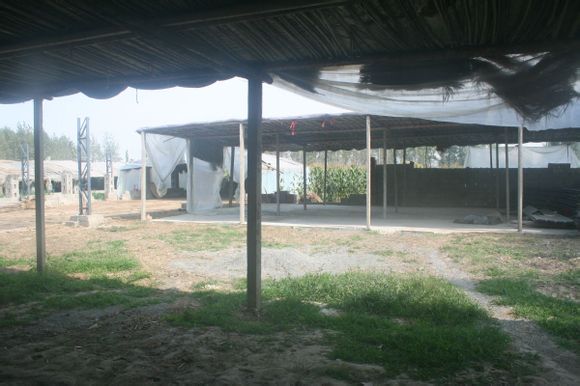 0fc55bafa40f4bfb3a360fa1034f78f0f53618ac.jpg