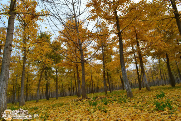 1d2877c6a7efce1bd4e048ebad51f3deb58f650b.jpg