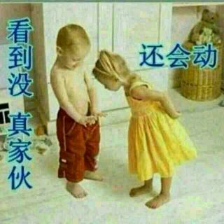 b7343b87e950352a8b5a932e5143fbf2b2118b20.jpg