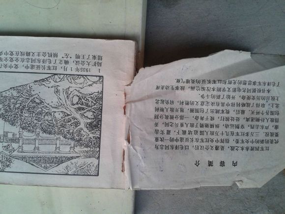 423b1f178a82b90107abd114718da9773812efde.jpg