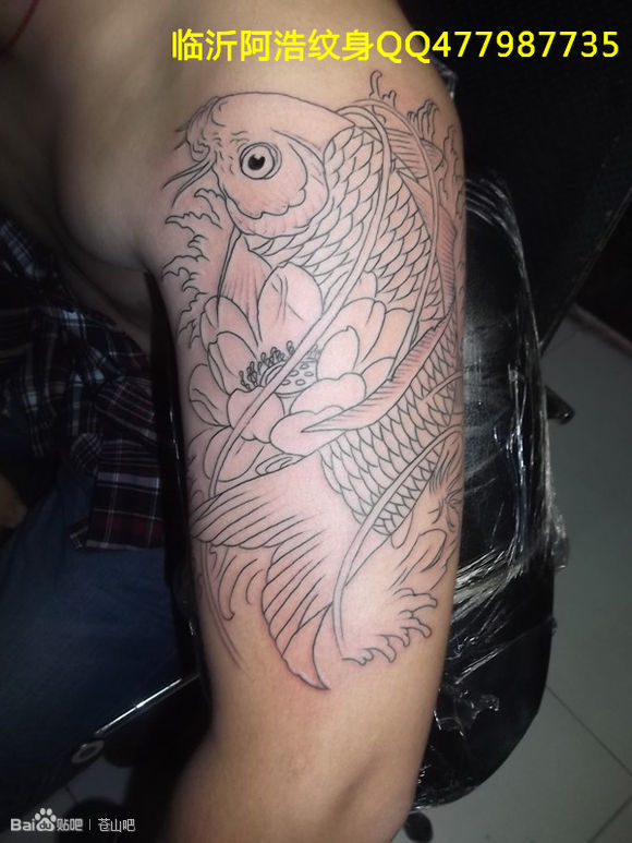 ab5058ee3d6d55fb5baafe116f224f4a21a4dde5.jpg
