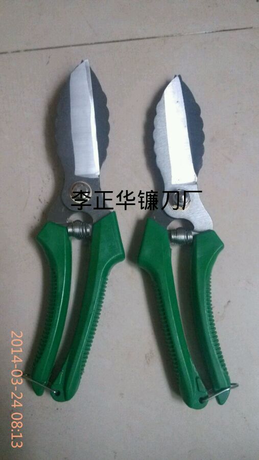 c72a2f738bd4b31c1ccb491085d6277f9c2ff8ea.jpg