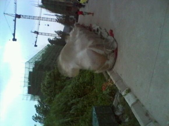 bd89241f95cad1c814fdbee27d3e6709cb3d51fc.jpg