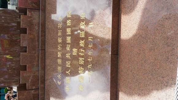 刚到香港