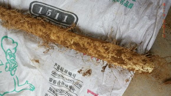 苍山的蔬菜批发市场在哪
