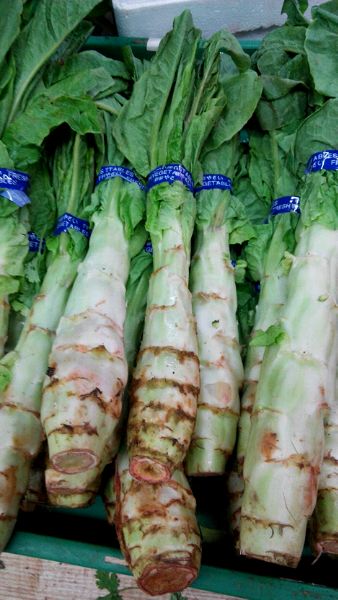 恁俩生菜卖了吗？