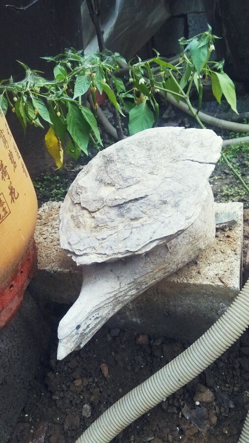 求吧神来鉴定，此物是哪个朝代的？