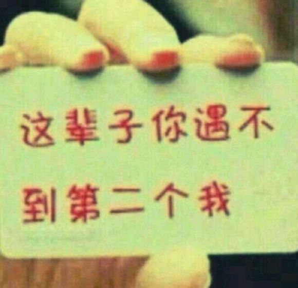 这辈子你不会遇到第二个我……