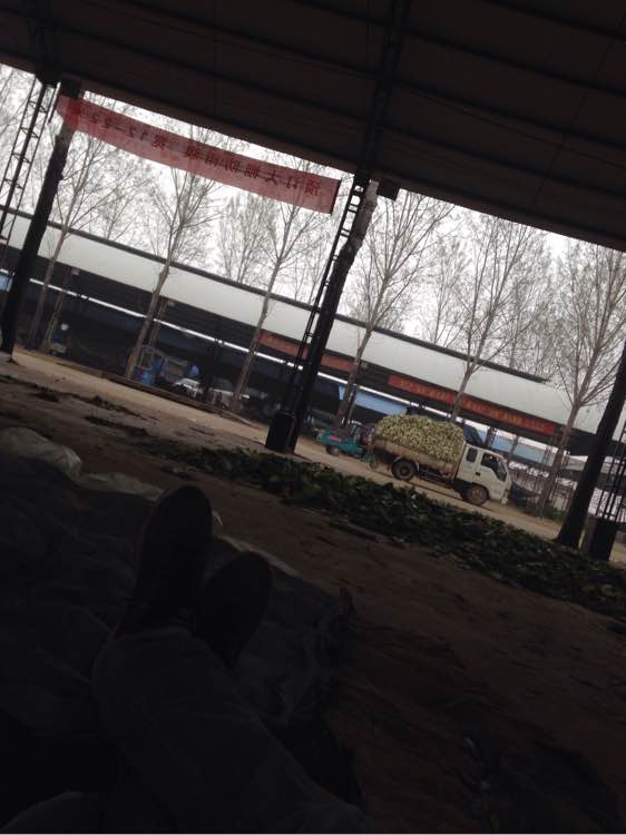 我在这你在哪？