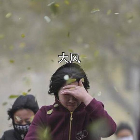 我在这你在哪？