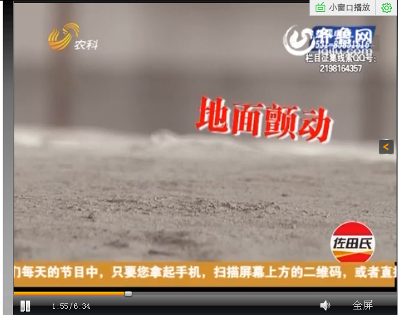 向成的都看看   别让沉了