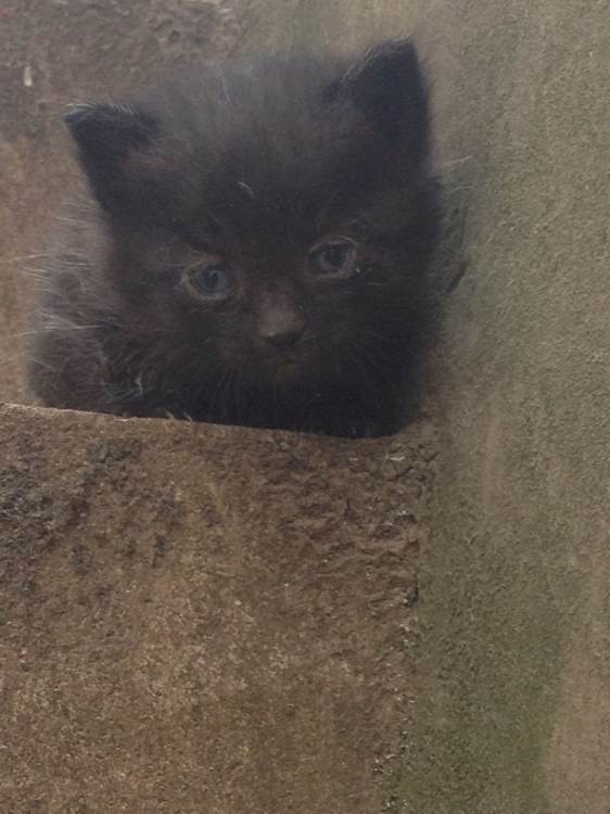 今天收到的天猫快递，