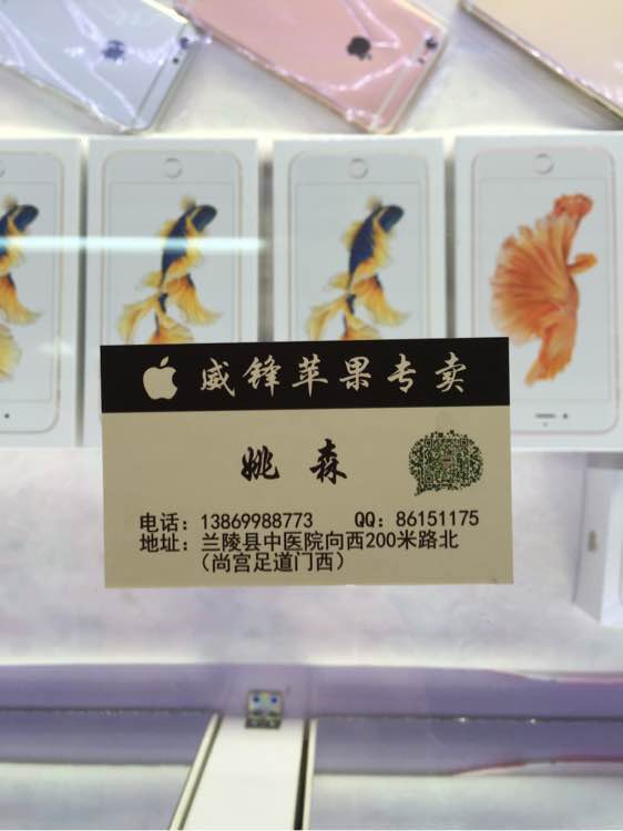 注意了！福利来了！！！！！！