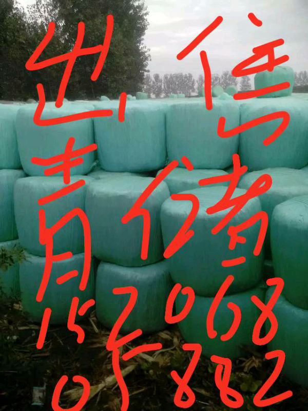 6835