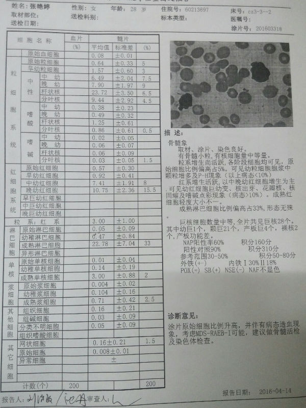 1463357506521.jpg