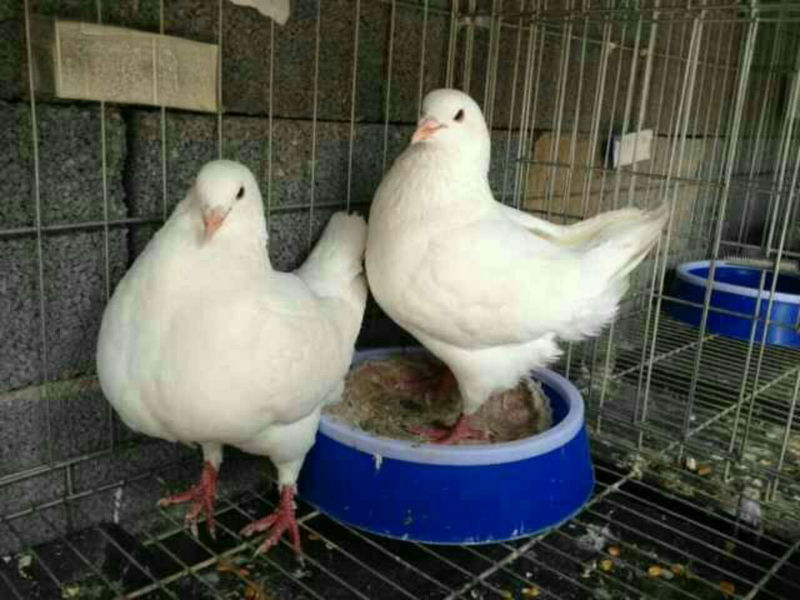 8359