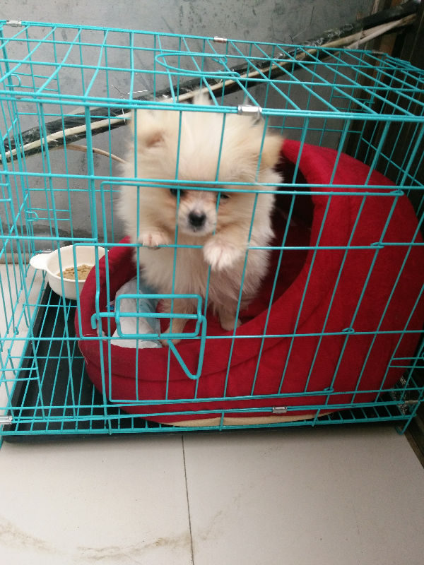 10070