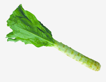 20121102115229116.jpg