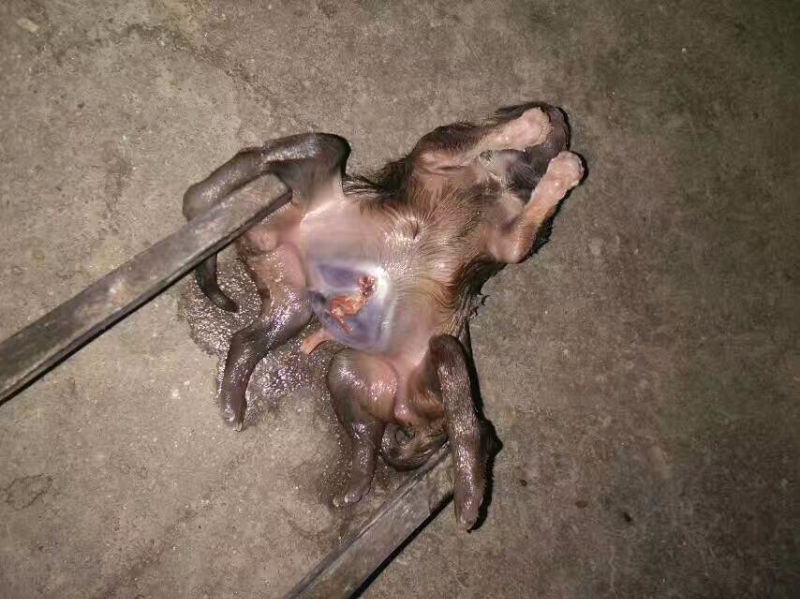 11382