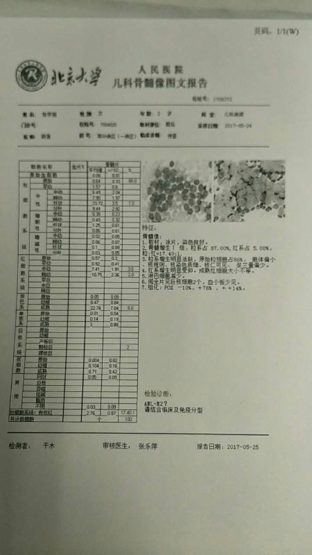 11904