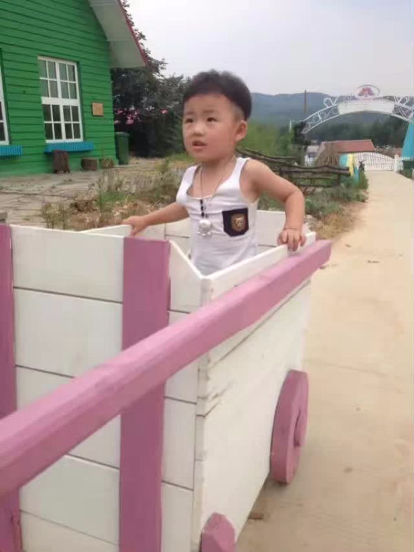 12335