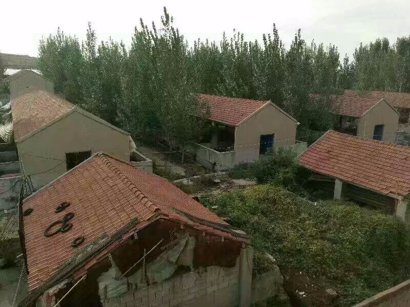 12841