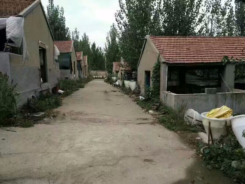 12853