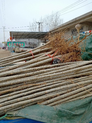 IMG20190222075452.jpg