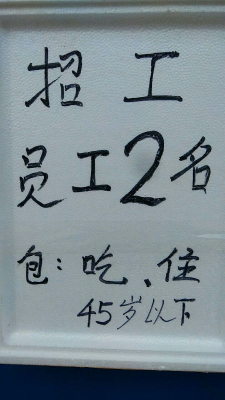 16293