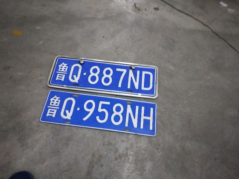 16445