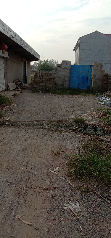 16543