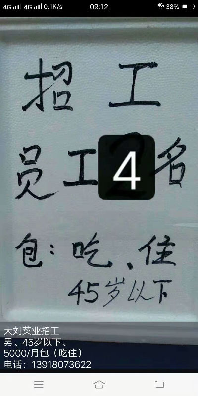 16636
