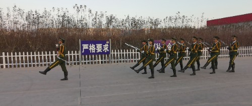 IMG_20201116_164112.jpg