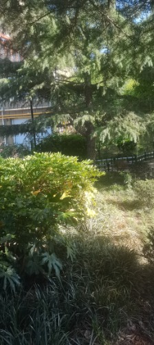 IMG_20220526_163244.jpg